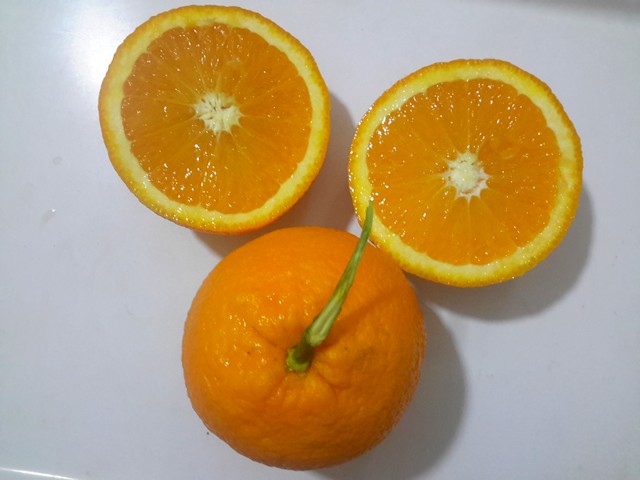  valencia late